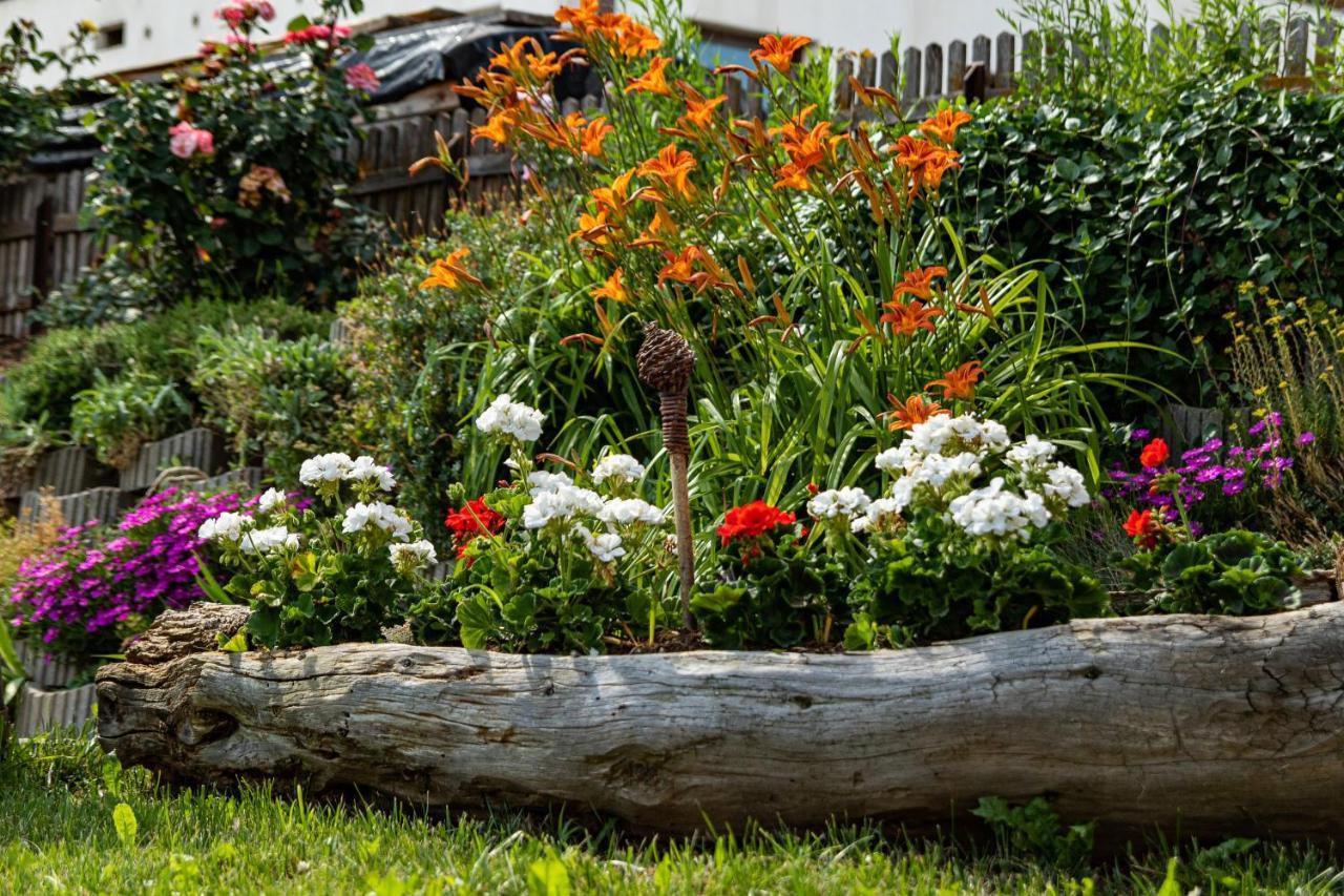 Schweiggerhof -Agriturismo- Farm Holidays Виландро Екстериор снимка