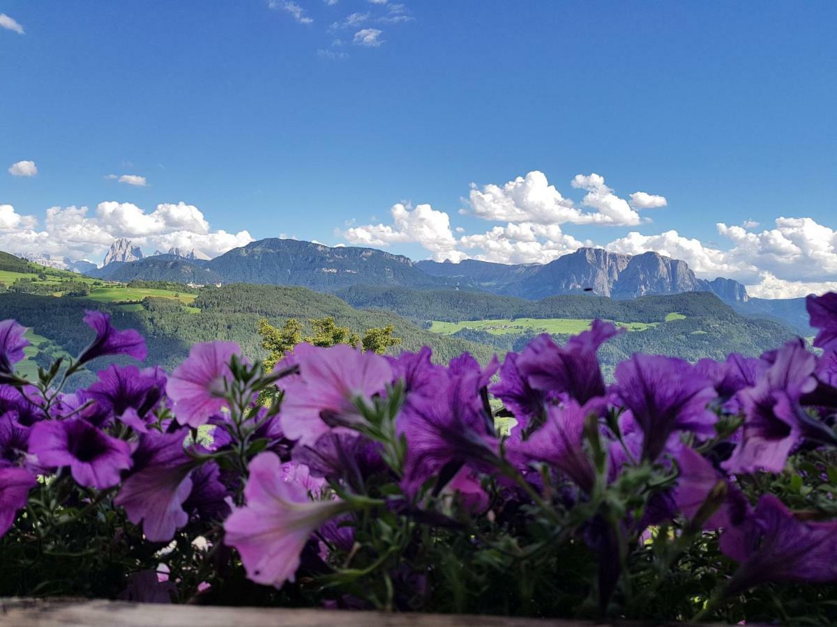 Schweiggerhof -Agriturismo- Farm Holidays Виландро Екстериор снимка
